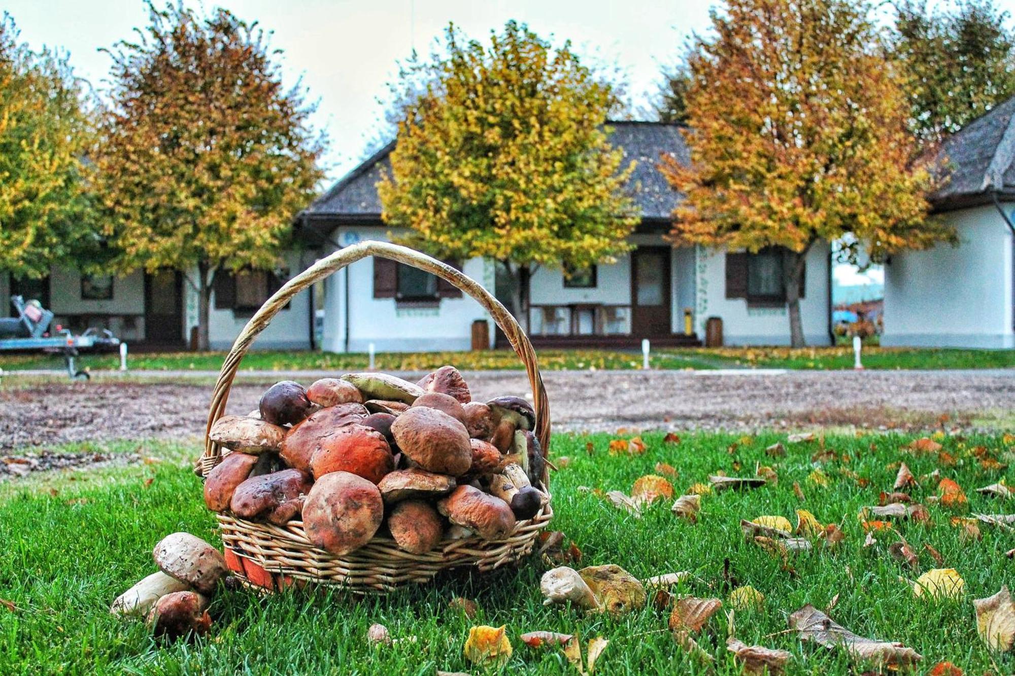 Bereg Holiday Park Svetlogorskoye Bagian luar foto