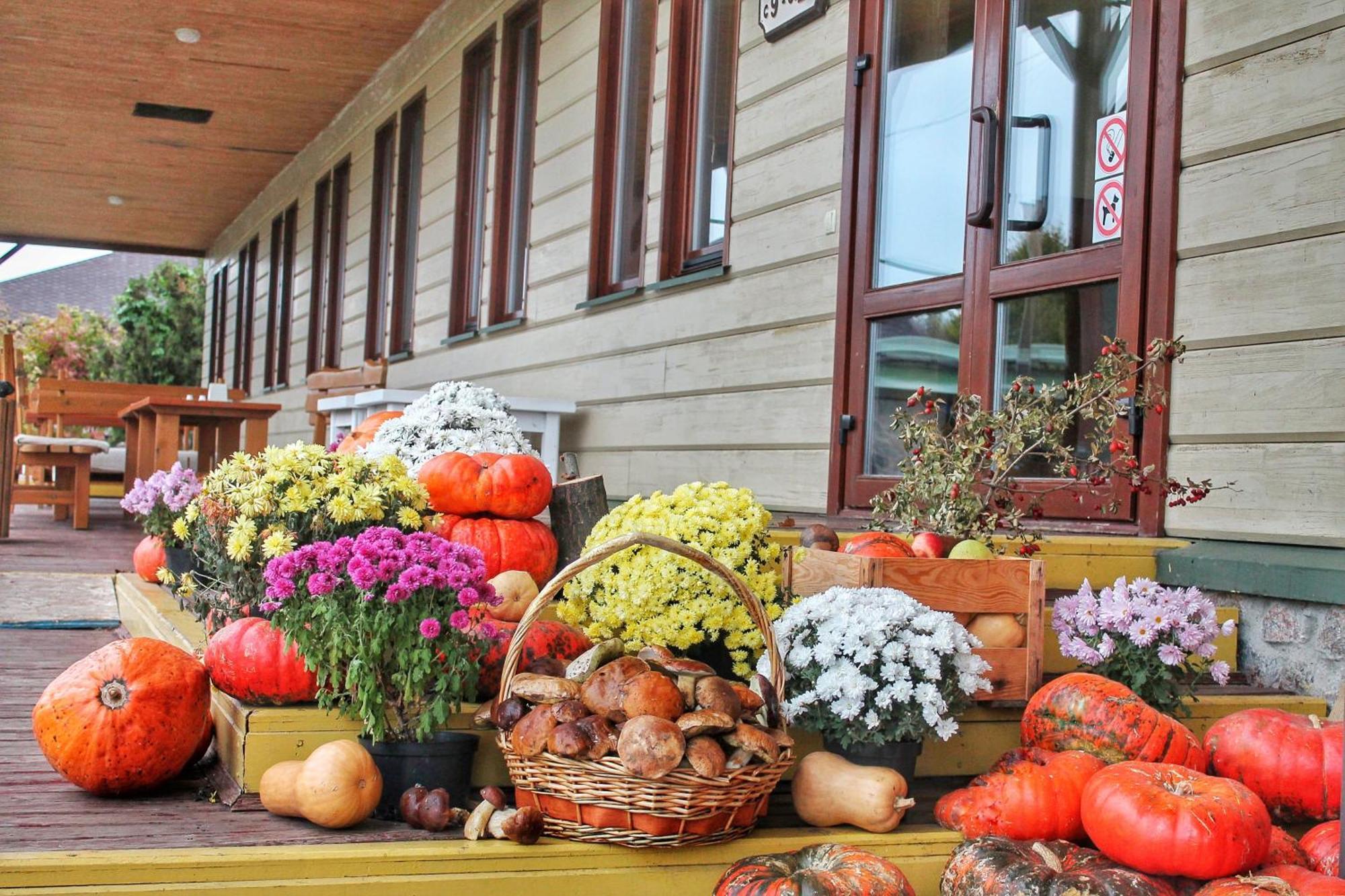Bereg Holiday Park Svetlogorskoye Bagian luar foto